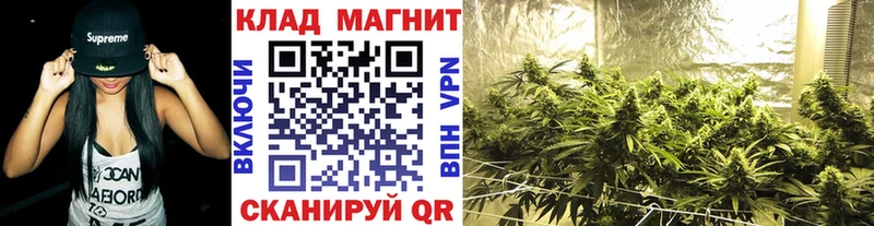 Где купить наркоту Звенигово Гашиш  Каннабис  COCAIN  Альфа ПВП  Меф 