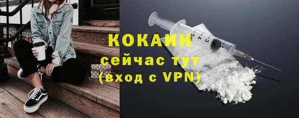 хмурый Мегион