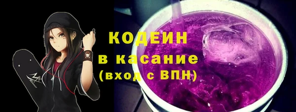 хмурый Мегион