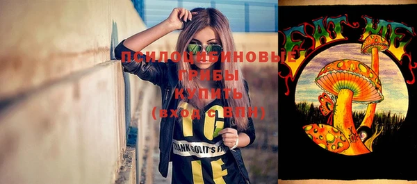 мет Медвежьегорск