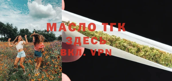 хмурый Мегион